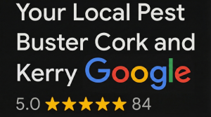 Pest-Control-reviews