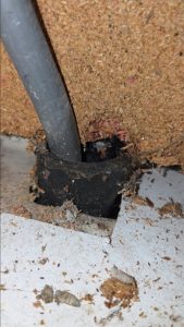 Pest-Control-Cork-mice